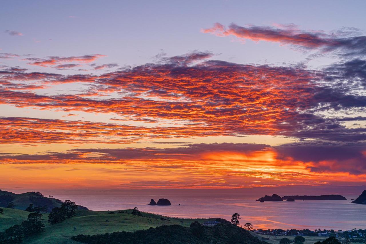 Bayview Valley Lodge Bed & Breakfast Whitianga Εξωτερικό φωτογραφία